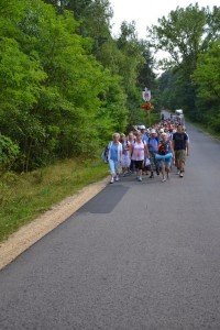 DSC 0076 (1)